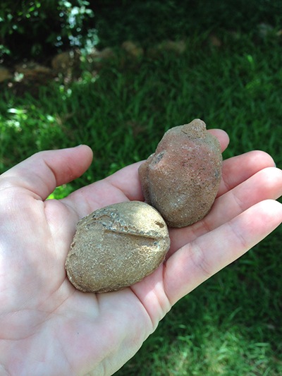 queensland agate rough