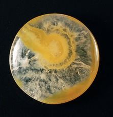 queensland agate cabochon